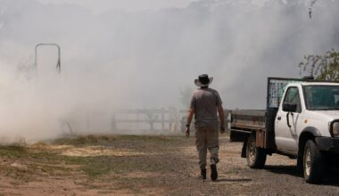 Scores of homes razed, one dead in Australian bushfires
