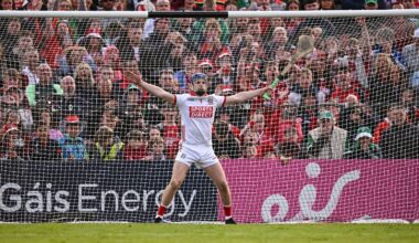 Munster GAA CEO gives short shrift to replay calls