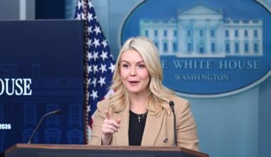 Leavitt calls Irish journalist 'left-wing hack'