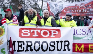 MEPs vote to refer Mercosur deal to top EU court