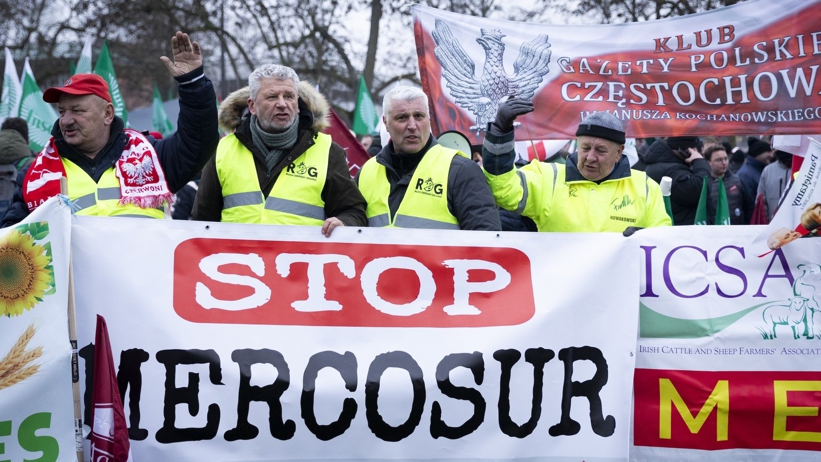 MEPs vote to refer Mercosur deal to top EU court