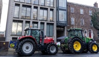 Govt will not remove Murrin as Chair of Bord Bia