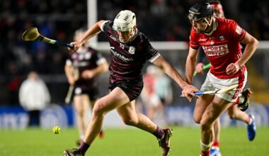 All you need to know