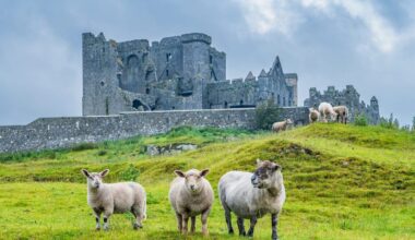 The Best Places to Eat in Ireland in 2026