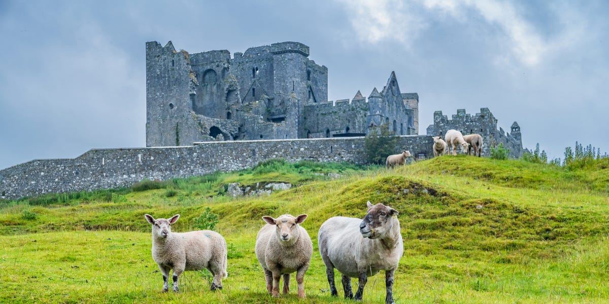 The Best Places to Eat in Ireland in 2026