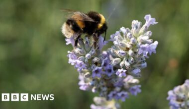 Public to have say on recovery strategy