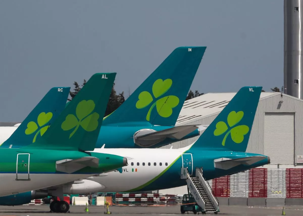 Aer Lingus planes (Stock)