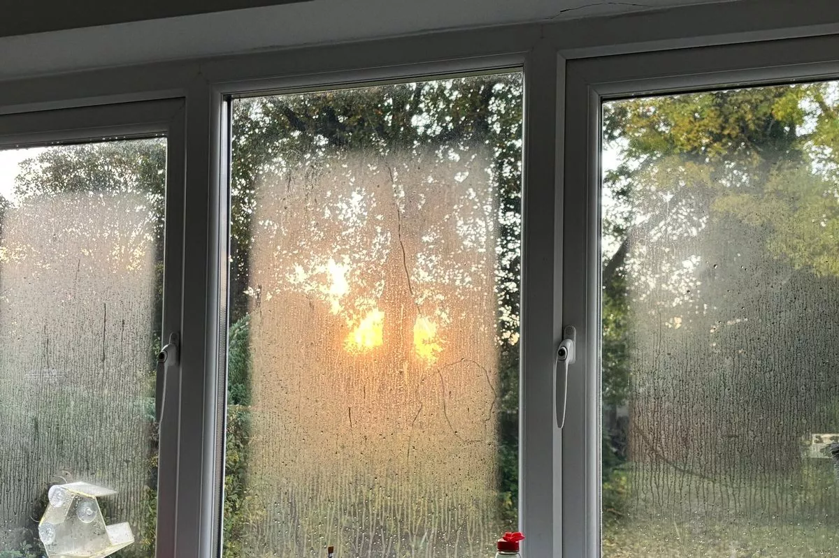 Condensation on windows as autumn kicks in and wetter weather brings damp into homes