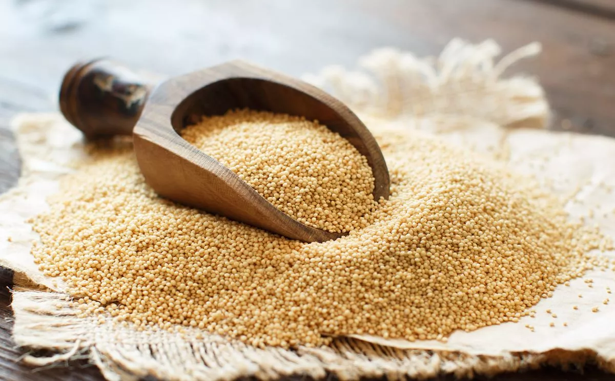 Raw Organic Amaranth grain with a spoon on a wooden table