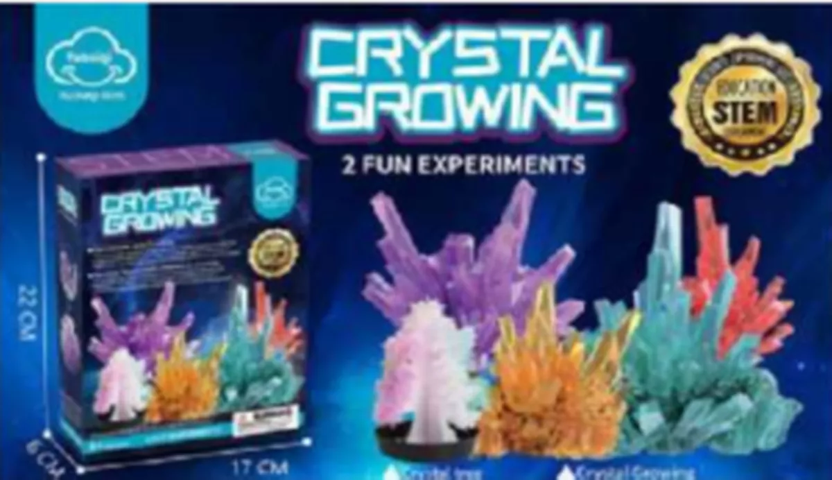 Crystal Growing Kit Toy sold on LivingSocial Europe Limited trading as Wowcher.ie

