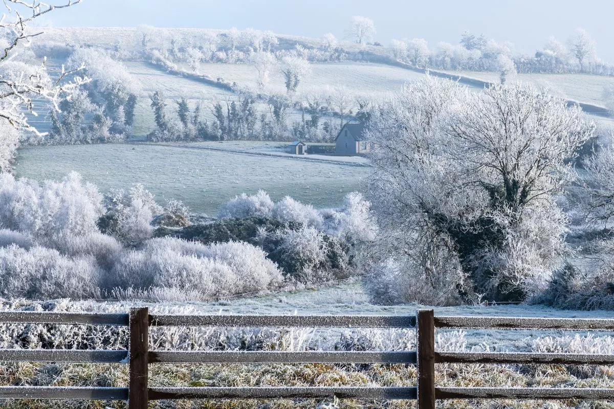 A snowy landscape with a fence in the foreground. The fence is covered in snow and the trees are bare. The scene is peaceful and serene, with the snow covering the ground