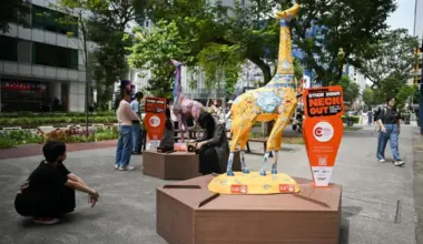 Subscribe Placeholder