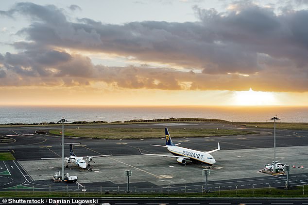 The airline also announced in December it would stop running flights to and from the Azores, Portugal's mid-Atlantic archipelago, from March 29