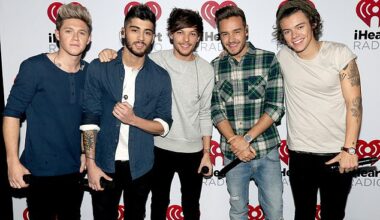 The members of One Direction in 2013, from left, Niall Horan, Zayn Malik, Louis Tomlinson, Liam Payne and Harry Styles