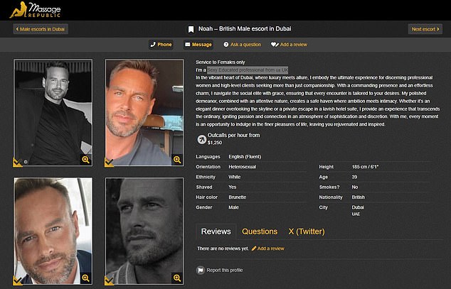 Lee says on the escort website 'Massage Republic': 'I embody the ultimate experience for discerning professional women and high-level clients seeking more than just companionship'