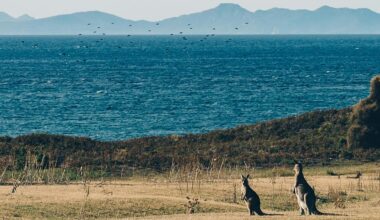 How an AI-generated travel website sent tourists to a non-existent hot spring attraction