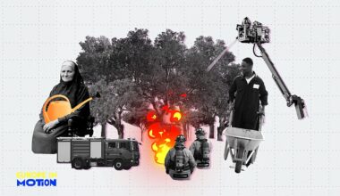 Europe's forests: Where are they growing fastest?