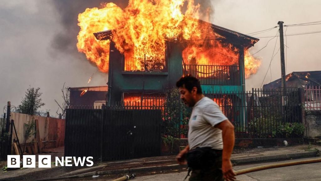 Deadly Chile fires trigger state of catastrophe in Ñuble and Biobío regions