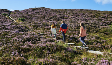 17 Regenerative Tourism Projects Launched Across The Midlands