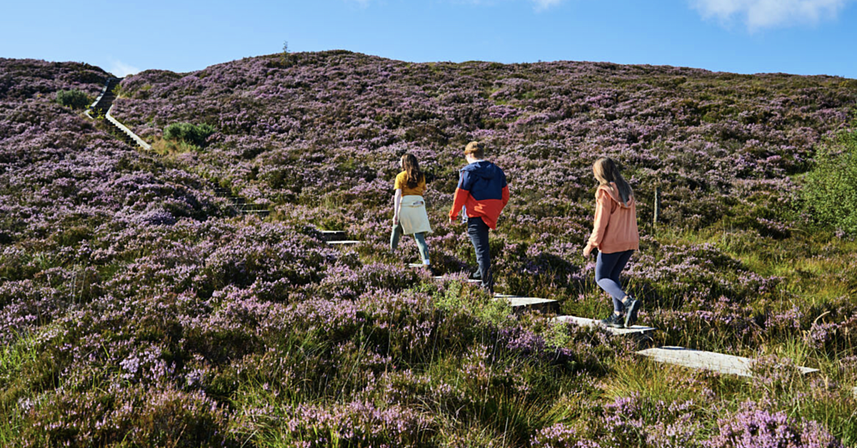 17 Regenerative Tourism Projects Launched Across The Midlands