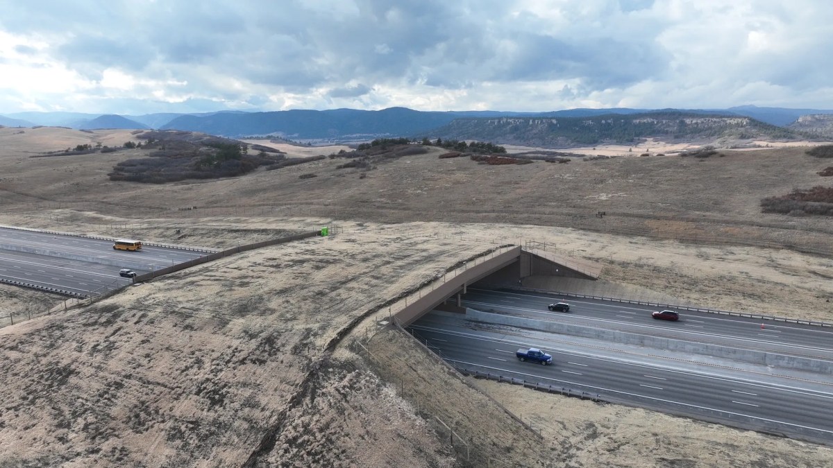 Colorado Created an Overpass for Animals in the Name of Safety