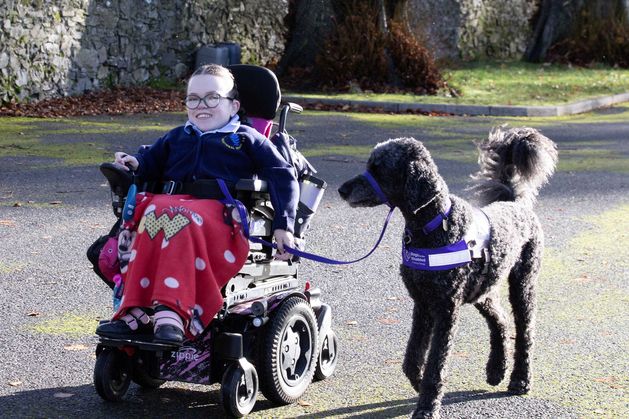 ‘I wonder if friends come to see me or my assistance dog Mozart – everyone loves him’