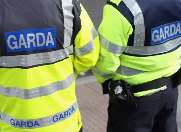 Two men arrested as gardaí seize cocaine and cannabis worth €769,000 in Cork