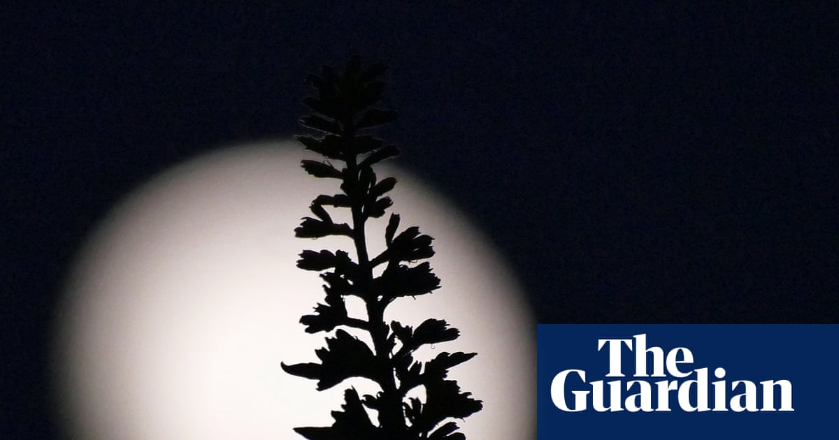 Donald Trump wants the US back on the moon before his term ends. Can it happen? | US news