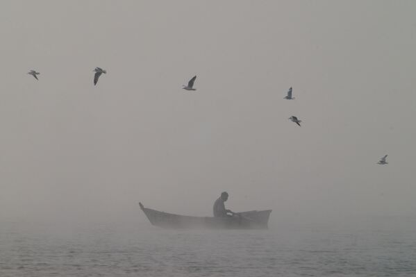 Gulls fly over a fisherman returning in his boat after working on the Pong Dam reservoir in Nagrota Suriyan, India, Dec. 27, 2025. (AP Photo/Ashwini Bhatia, File)