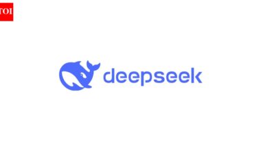 China's DeepSeek that wiped billions from US stock market in January 2025, sends New Year's message to American companies