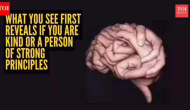 Optical illusion personality test: Brain or hands? What you see first reveals if you are kind or a person of strong principles |