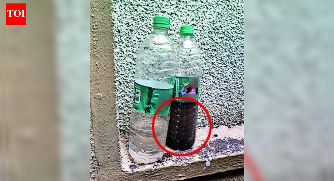 ‘Foul-smelling, discoloured’: Sewage in drinking water triggers Indore-like scare in Bengaluru; 30 houses on 1 lane hit | Bengaluru News