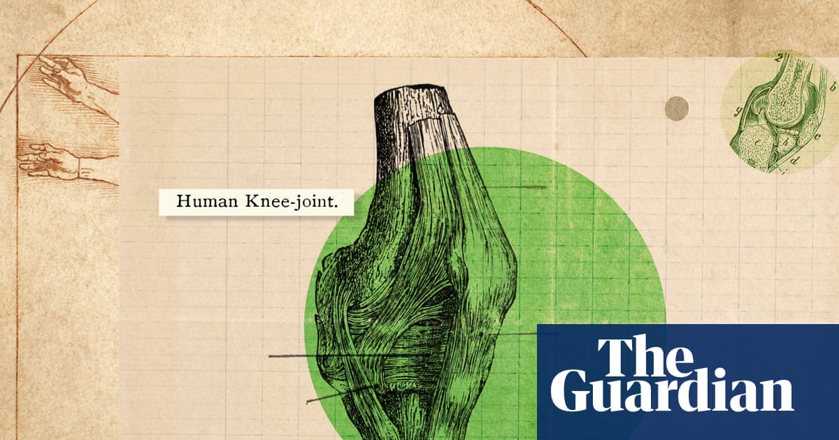 ‘They don’t have a nice socket structure’: how to really look after your knees | Health & wellbeing
