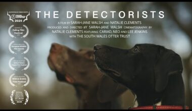 The Detectorists — A Short Film About Otters and Detection Dogs.