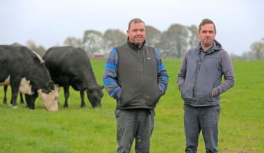 How this Longford family turned their four-cow pedigree Limousin herd into sales of up to €30,000