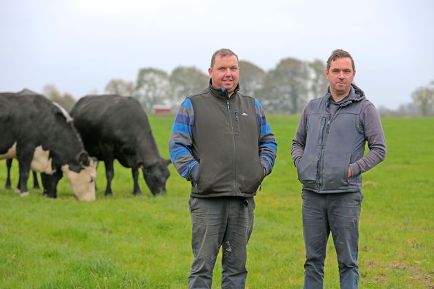 How this Longford family turned their four-cow pedigree Limousin herd into sales of up to €30,000