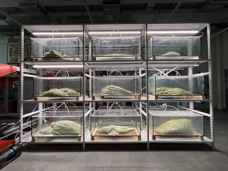 From Material Intelligence to Circularity: Lessons from Architecture in 2025 - Image 13 of 22