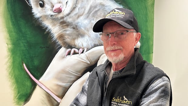 'Half a dozen calls a day' for wild animals with distemper as London sees spike