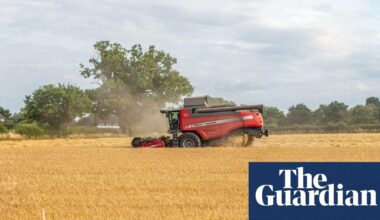 Smaller farms in England to be prioritised for nature funding, minister to announce | Farming