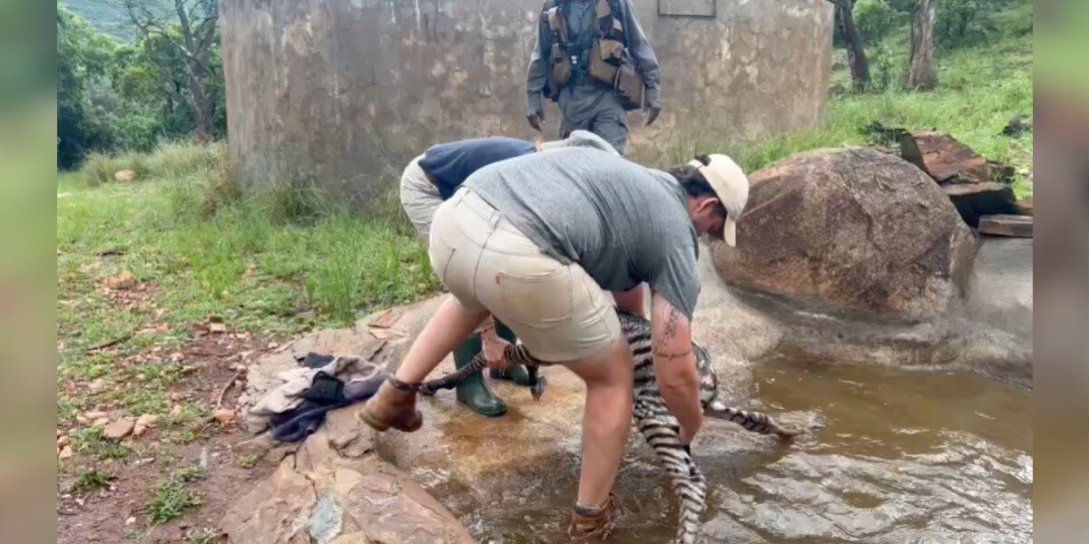 Ranger Discovers Newborn Wild Baby Fighting For His Life In A Dam