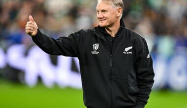 Joe Schmidt linked to another Ireland reunion as All Blacks seek new coach