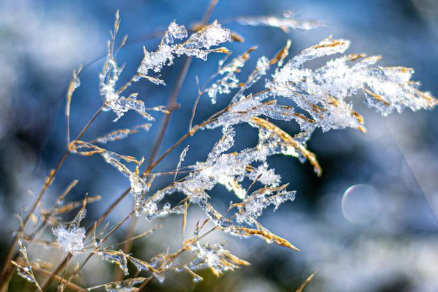 Weather Ireland: ‘Cool by day and cold by night’, forecast Met Éireann, as temperatures to drop below freezing