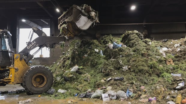 Edmonton businesses may soon be required to sort waste