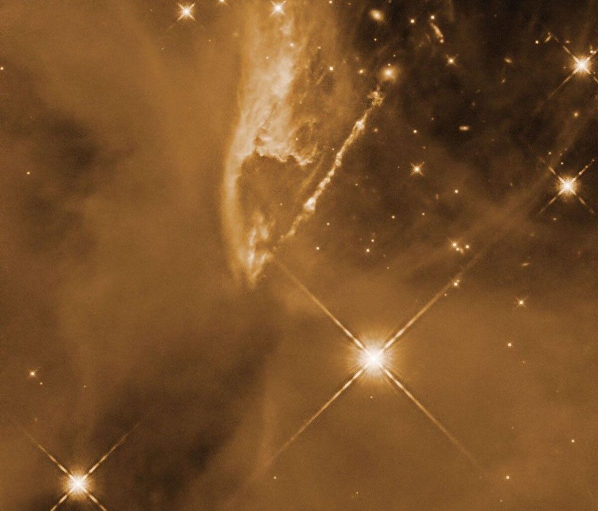 Protostars in the Orion Molecular Cloud complex, as seen by the Hubble Space Telescope. Credit: NASA, ESA, and T. Megeath (University of Toledo); Processing: Gladys Kober (NASA/Catholic University of America)