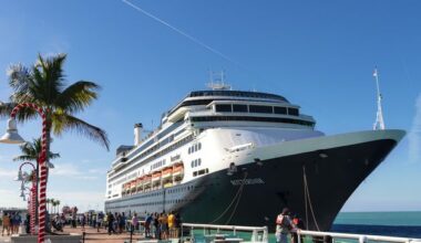 Norovirus outbreak leaves almost 100 passengers sick aboard cruise ship