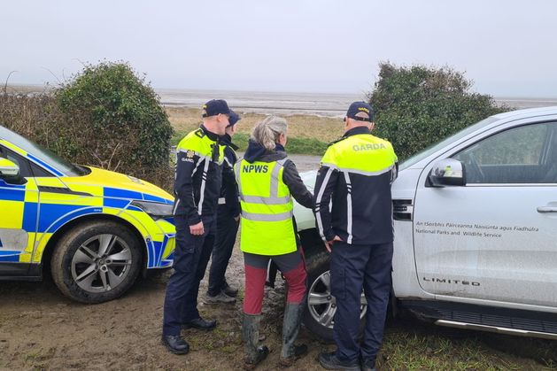 Louth Gardai carrying out criminal investigations into illegal hunting