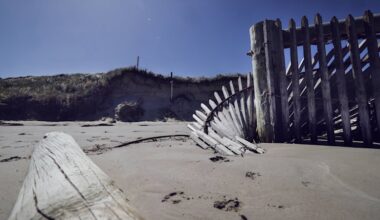 Research shows hope for areas such as Port Fairy to stabilise beaches