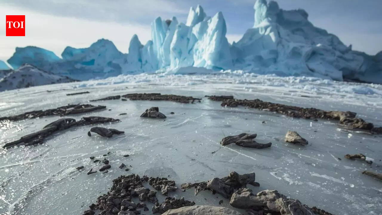 Baby dinosaur fossils found in Arctic permafrost reveal how dinosaurs survived polar winters |