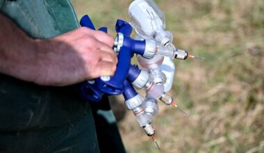 First case of bluetongue found in Republic as virus reaches Wexford herd