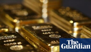 ‘Repatriate the gold’: German economists advise withdrawal from US vaults | Germany